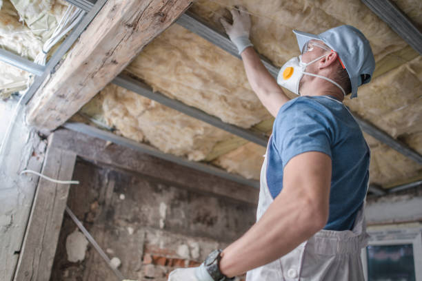 Best Spray Foam Insulation in Olivarez, TX